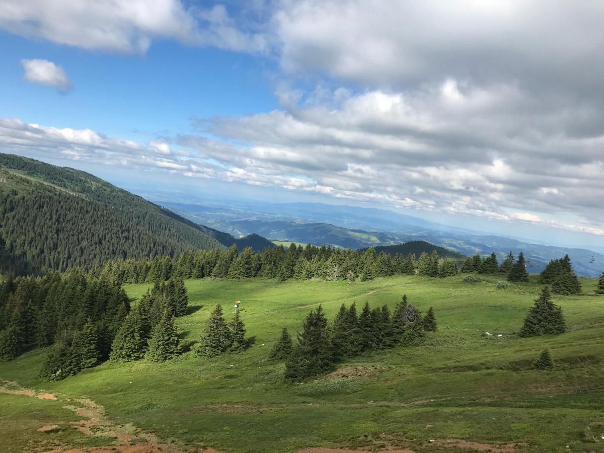 Planinsko Jutro - Brzece Centar Apartments, Kopaonik Экстерьер фото